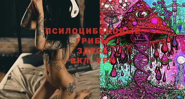 jwh Алзамай
